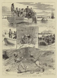 Die Erlebnisse eines Amateur-Tauchers